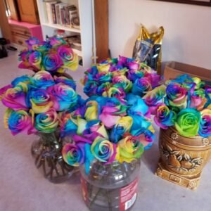 Alternative view of Rainbow Rose Petals
