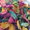 Rainbow Rose Petals
